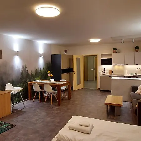 Wellness Apartmany Ricky V Orlickych Horach Exterior photo