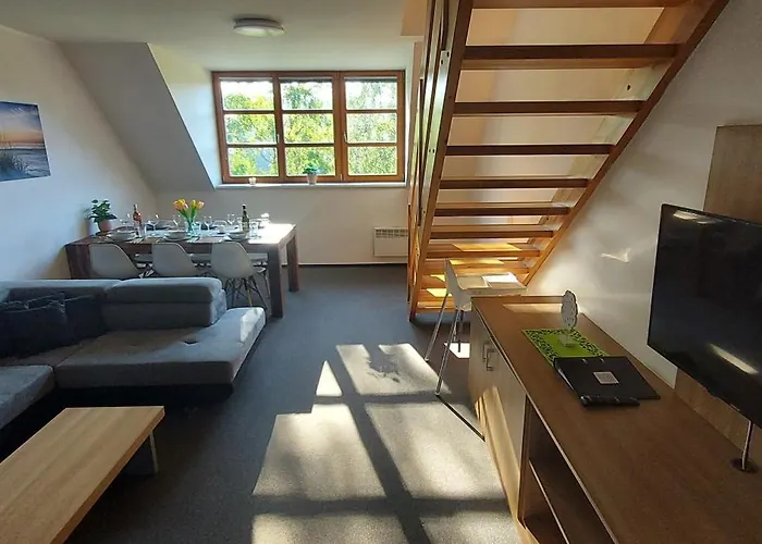 Wellness Apartmany Ricky V Orlickych Horach