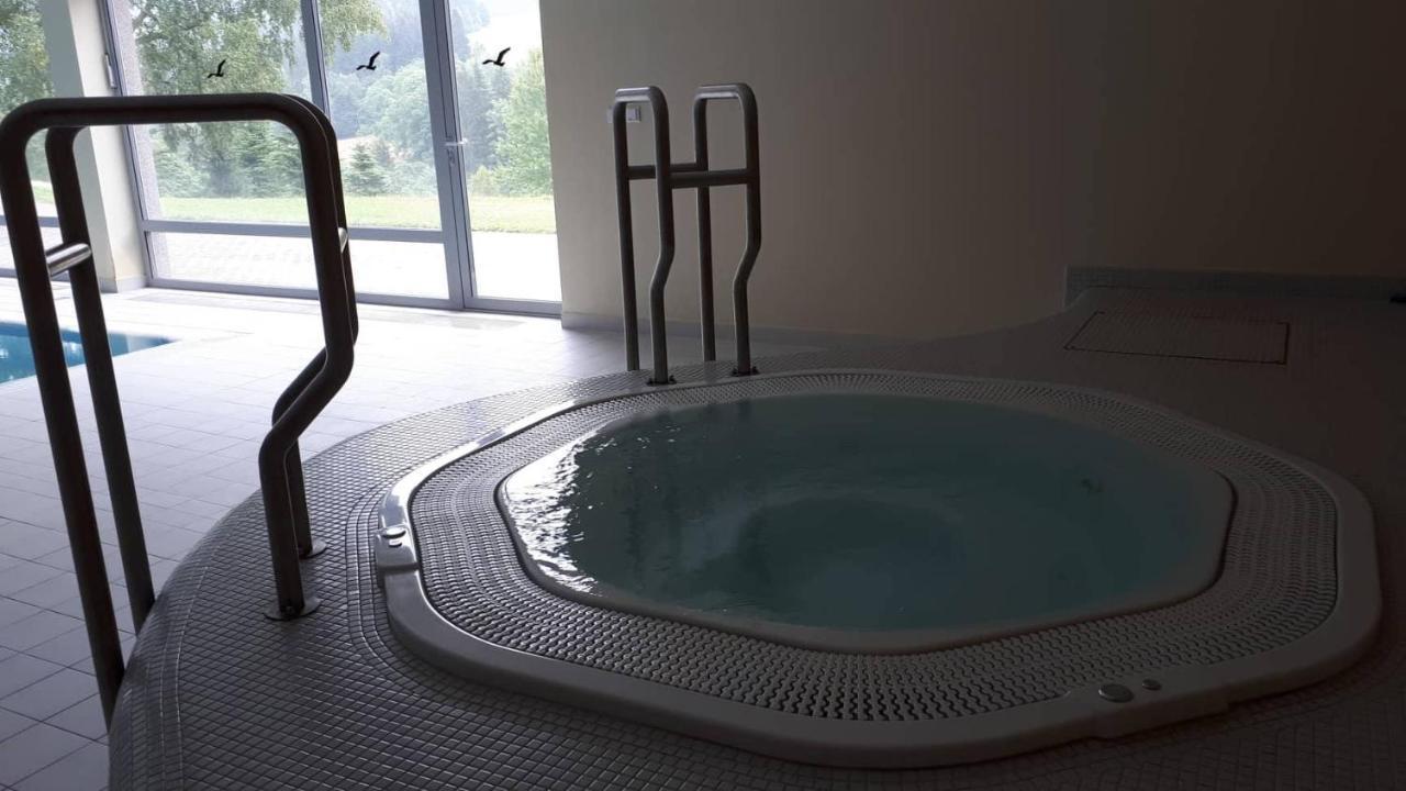 Apartment Wellness V Orlickych Horach *