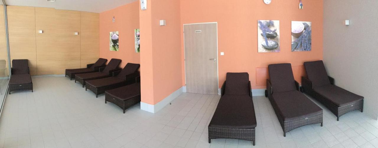 Wellness V Orlickych Horach Apartment Ricky (Hradec Kralove)