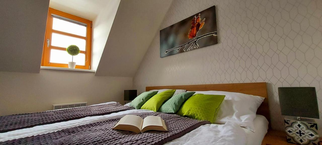 Wellness V Orlickych Horach Apartment Ricky (Hradec Kralove)