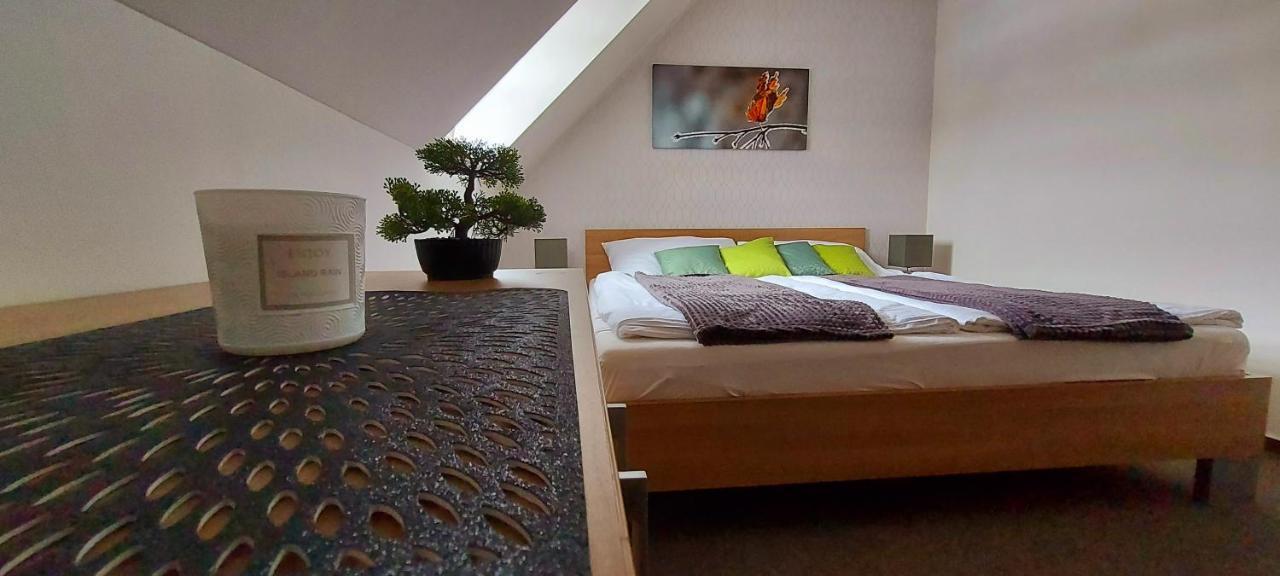 Apartment Wellness V Orlickych Horach *