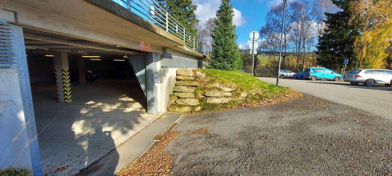 Apartment Wellness V Orlickych Horach Ricky (Hradec Kralove)