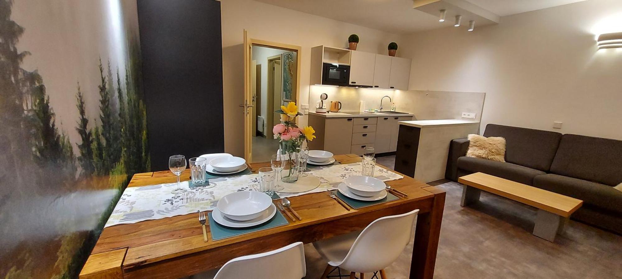 Wellness V Orlickych Horach Apartment Ricky (Hradec Kralove)