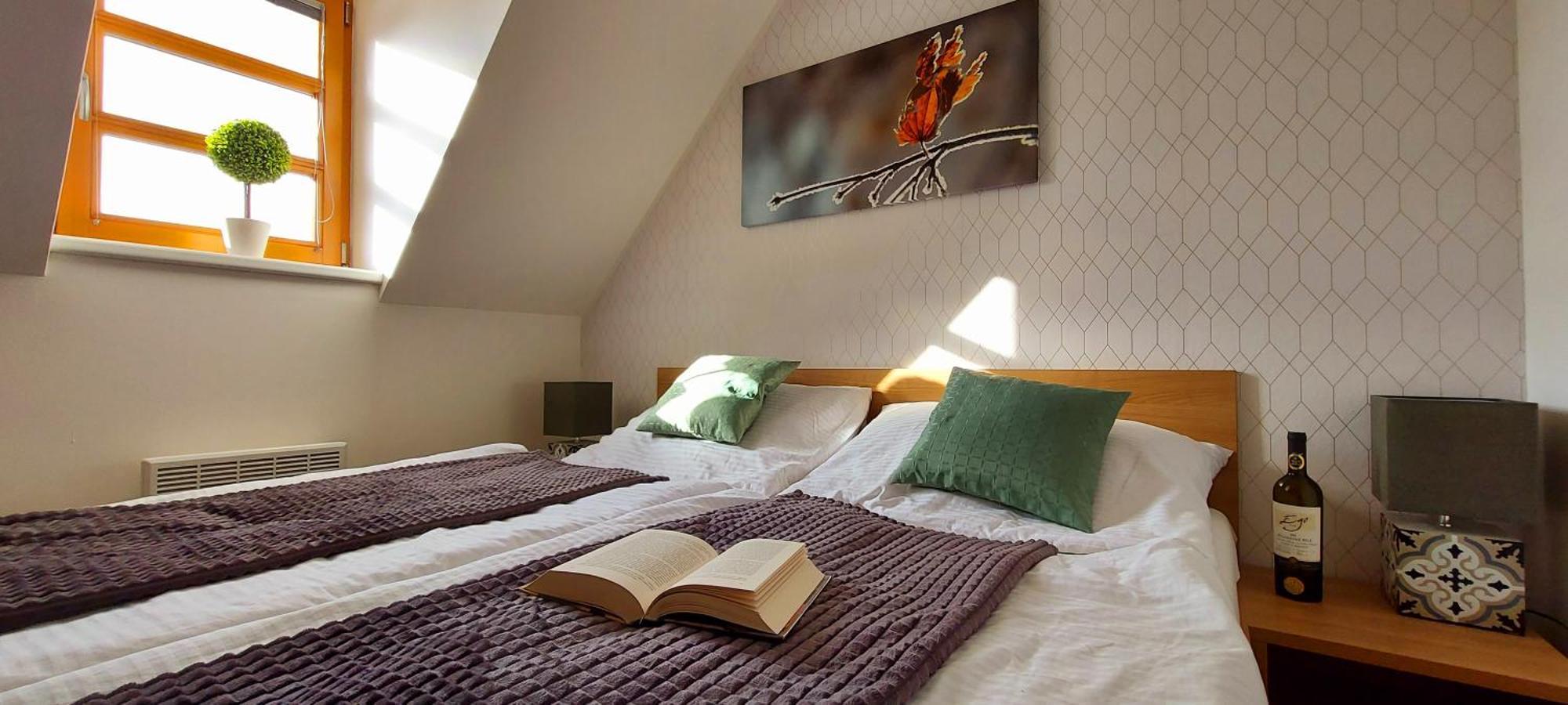 Wellness V Orlickych Horach Apartment *
