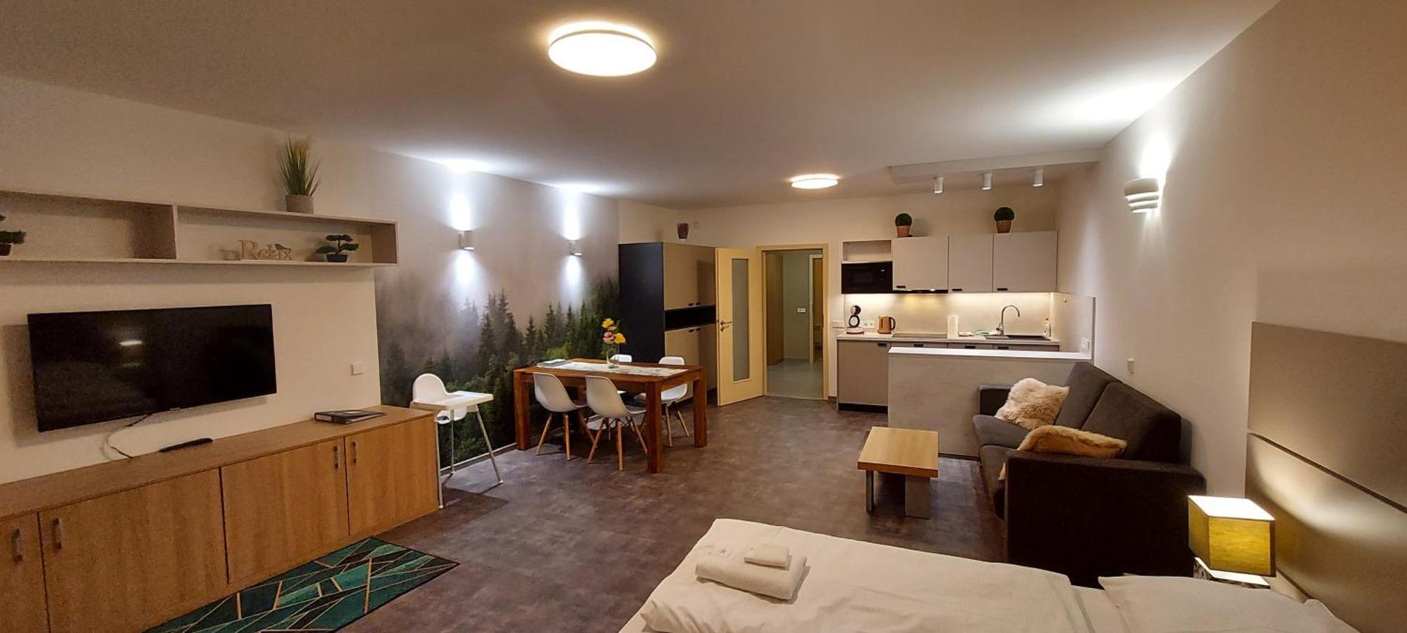 Apartment Wellness V Orlickych Horach Ricky (Hradec Kralove)