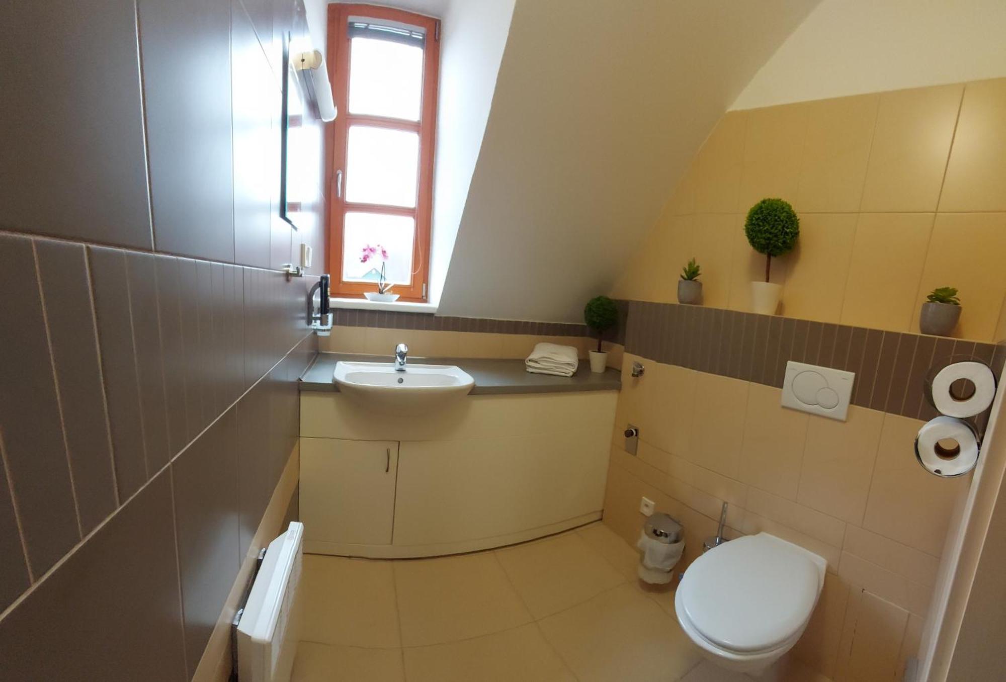 Apartment Wellness V Orlickych Horach *